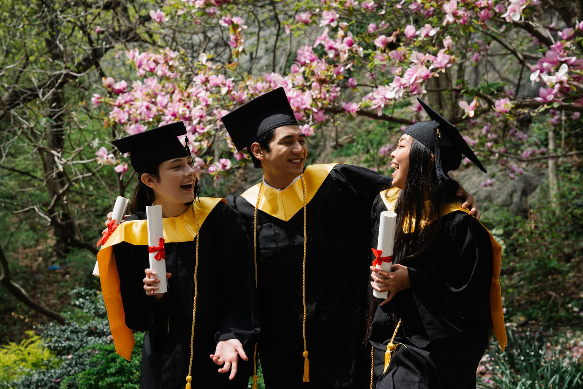 AXA Education Plans Banner